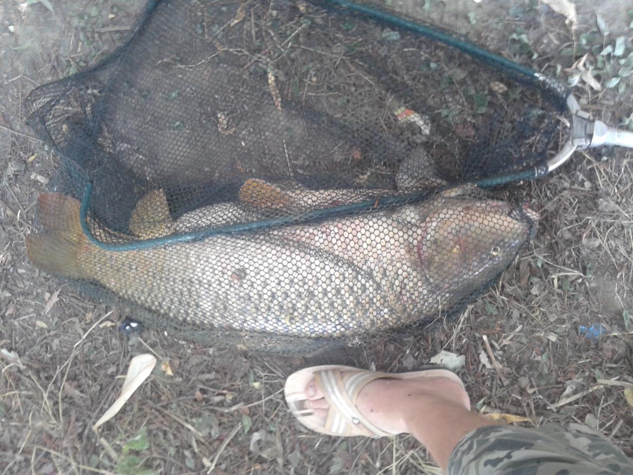 La Dunare - 2012-08-17 07.37.14.jpg